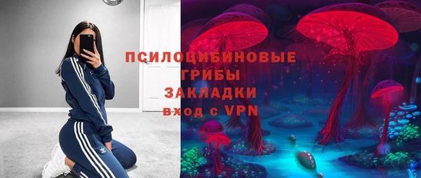 молекула духа Михайловка