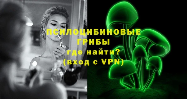 молекула духа Михайловка