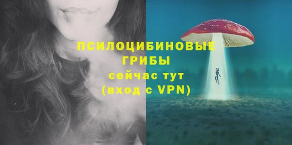 молекула духа Михайловка